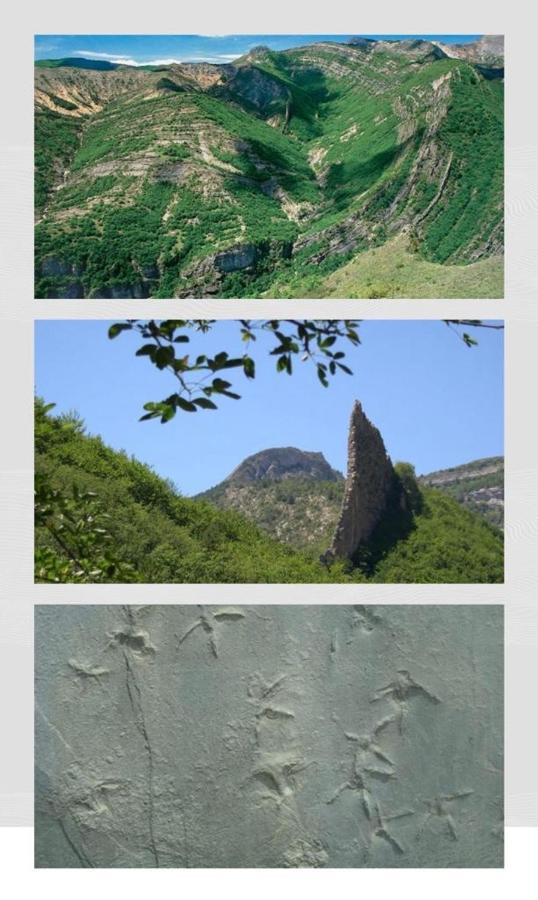 Les Glycines, Charmant Studio Au Calme Dans Batisse De Maitre Proche Du Centre Ville Parking Gratuit 디뉴레뱅 외부 사진