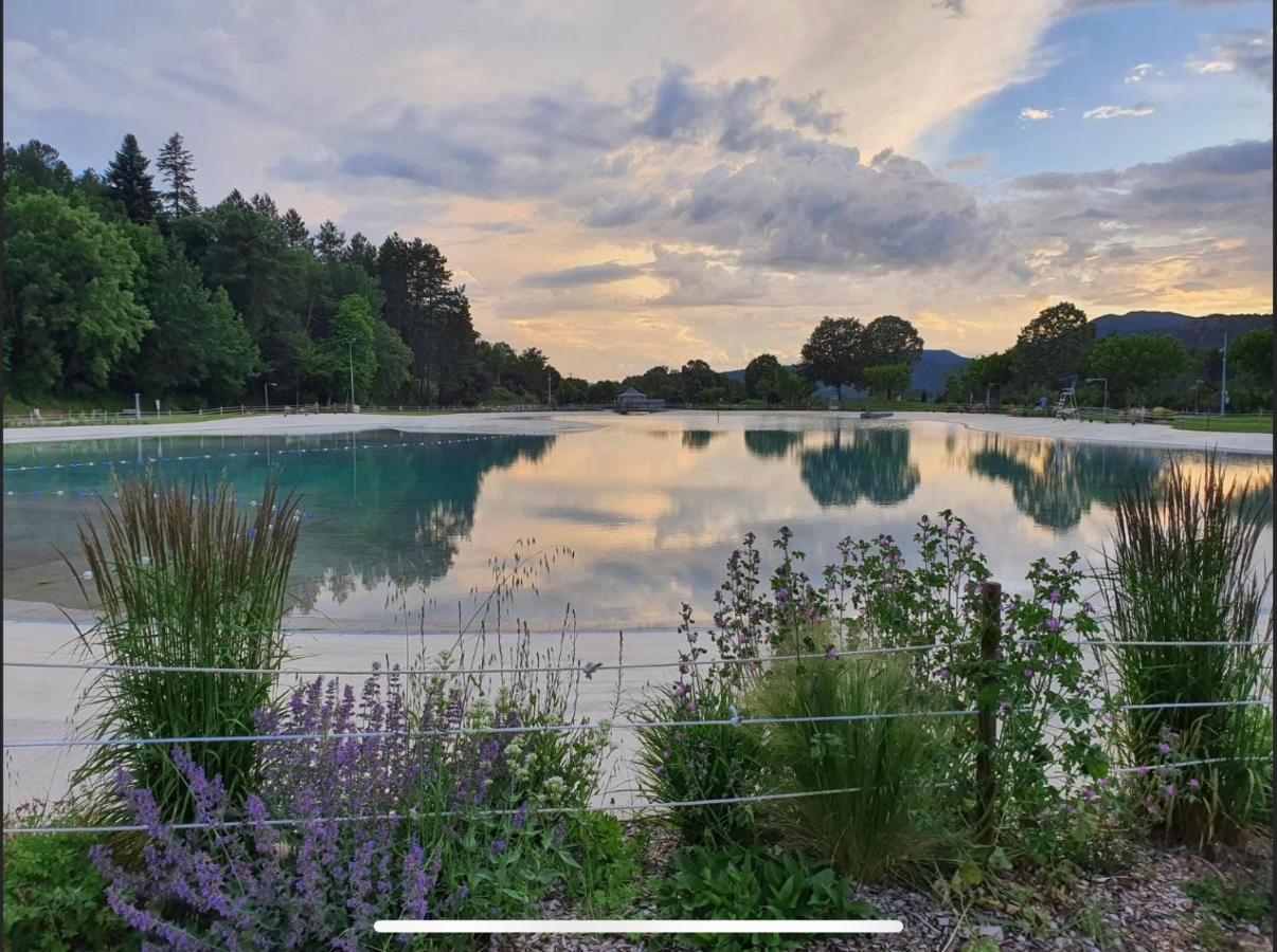 Les Glycines, Charmant Studio Au Calme Dans Batisse De Maitre Proche Du Centre Ville Parking Gratuit 디뉴레뱅 외부 사진